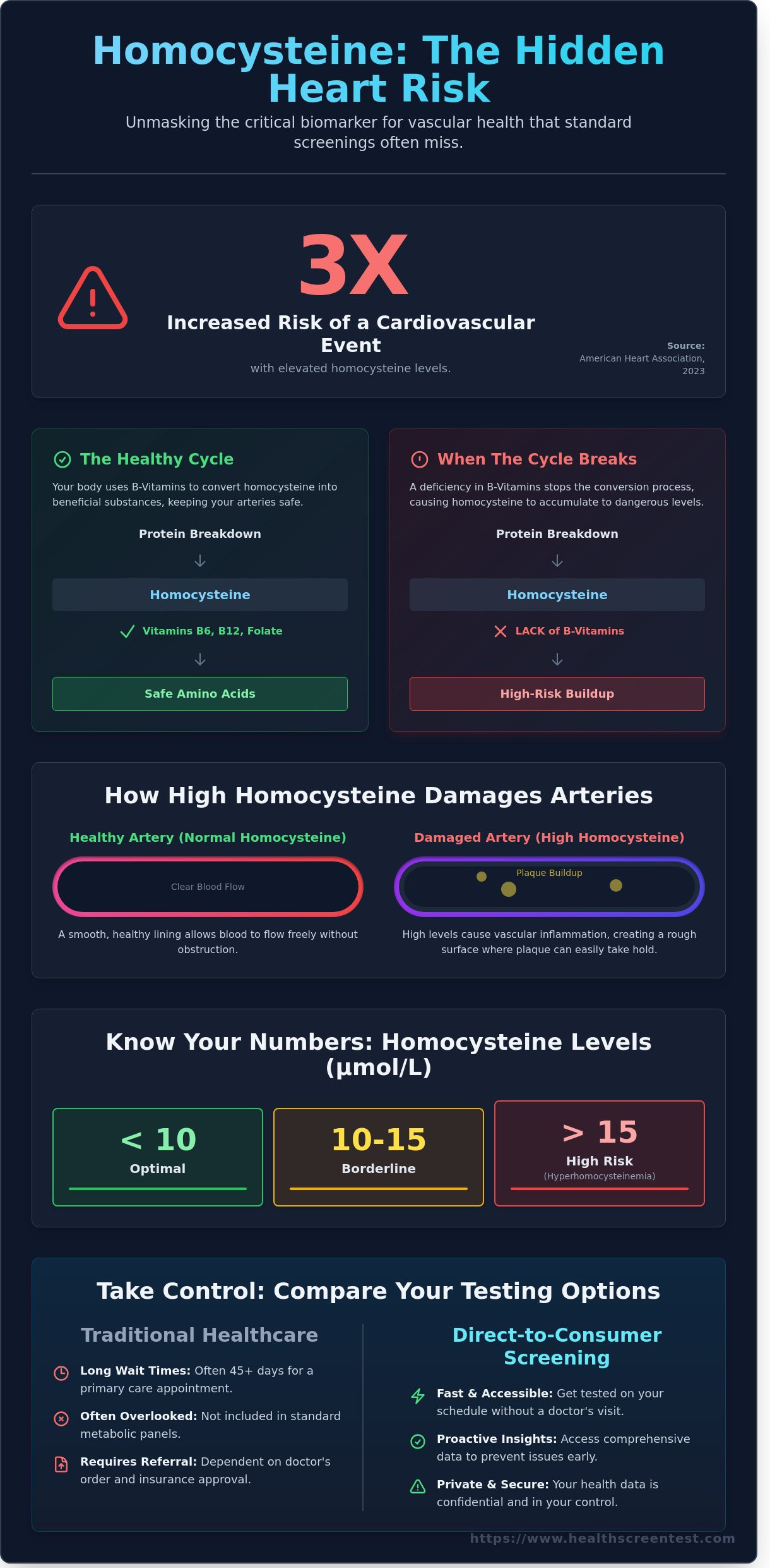 Homocysteine Levels: A Heart Health Guide for Phoenix & Gilbert Residents - Infographic
