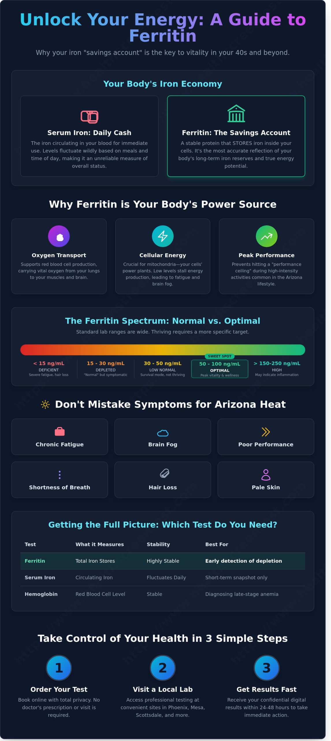 What is a Ferritin Blood Test? A Guide for Phoenix, Mesa, and Gilbert Residents - Infographic