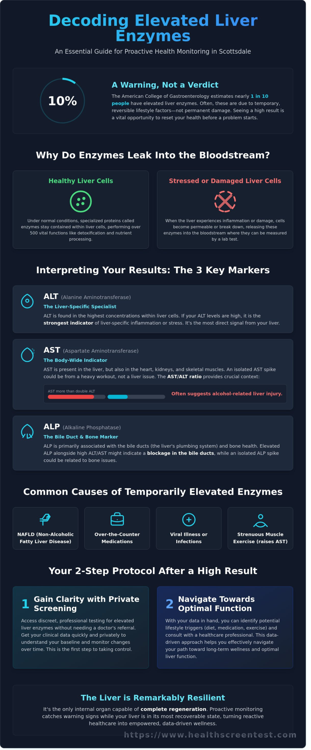 What Do Elevated Liver Enzymes Mean? A Scottsdale Health Guide
